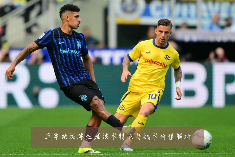 卫华纳板球生涯技术特点与战术价值解析